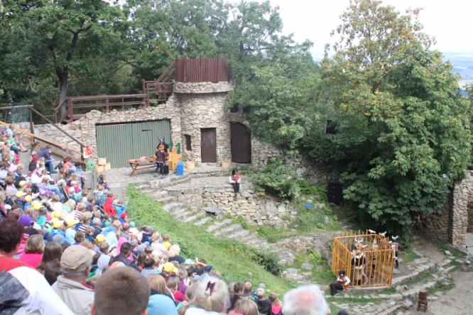 thale_14_15.jpg