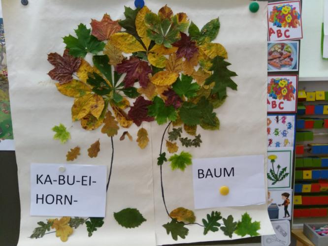 wald_klasse_1.jpg