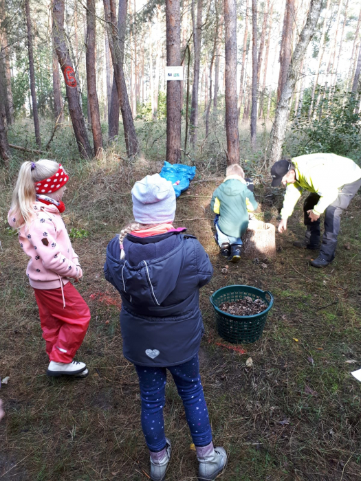 img_20201008_wa0001.jpg